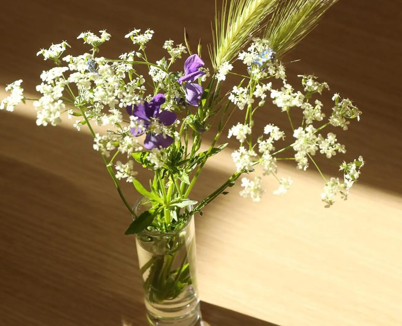 Logis Hotel Spa Restaurant Le Provence Lanarce